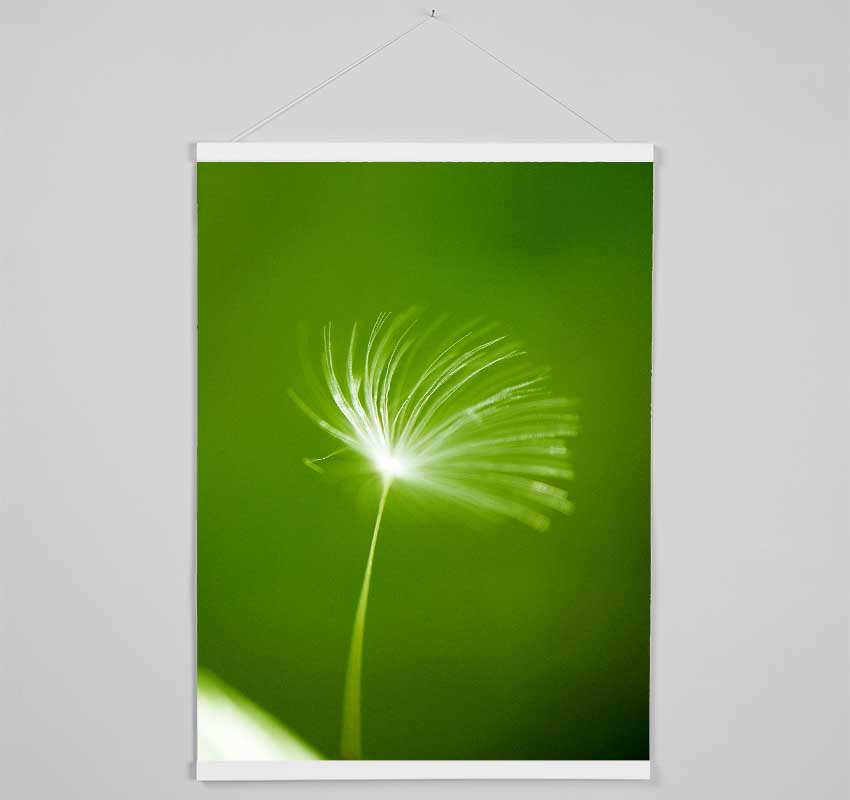 White Whisper Sunlight Hanging Poster - Wallart-Direct UK