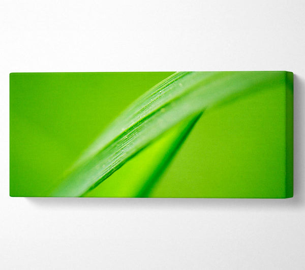 Green On Green