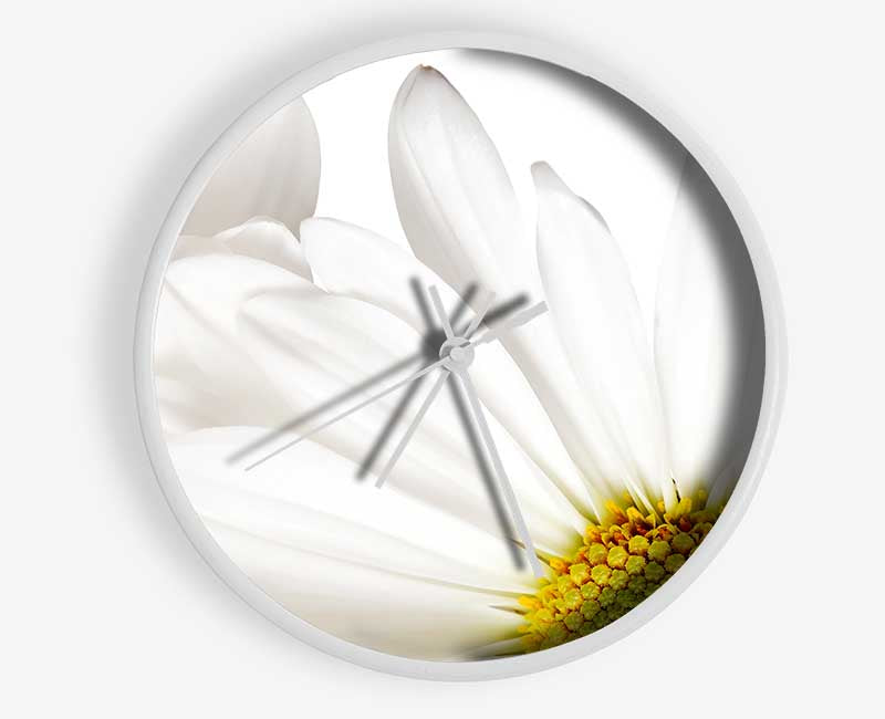 White Daisy Petals Clock - Wallart-Direct UK