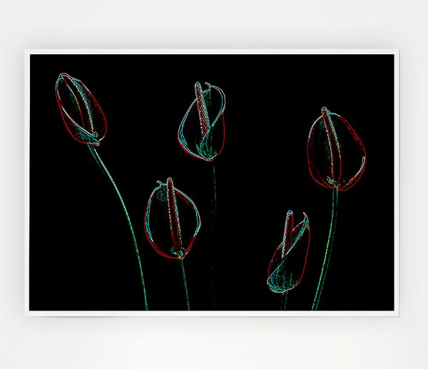 Abstarct Neon Night Flowers Print Poster Wall Art