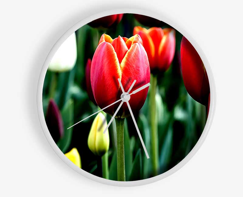 Tulips In Bloom Clock - Wallart-Direct UK