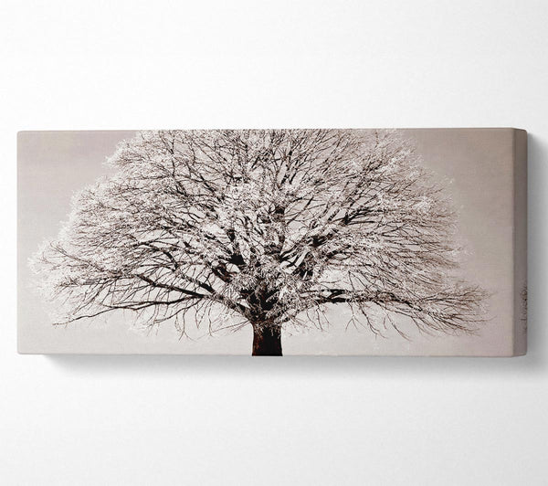 Einsamer Winterbaum