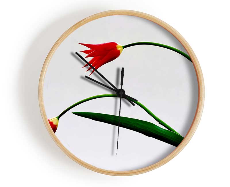 Twin Fire Tulips Clock - Wallart-Direct UK