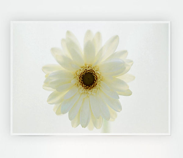 White On White Daisy Face Print Poster Wall Art