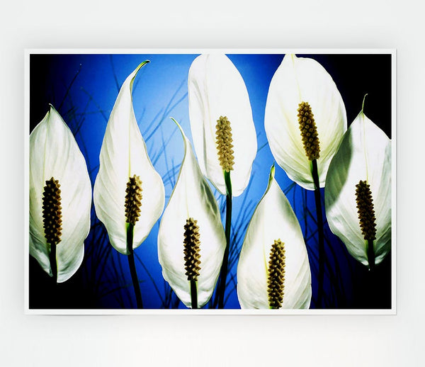 White March Print Poster Wall Art