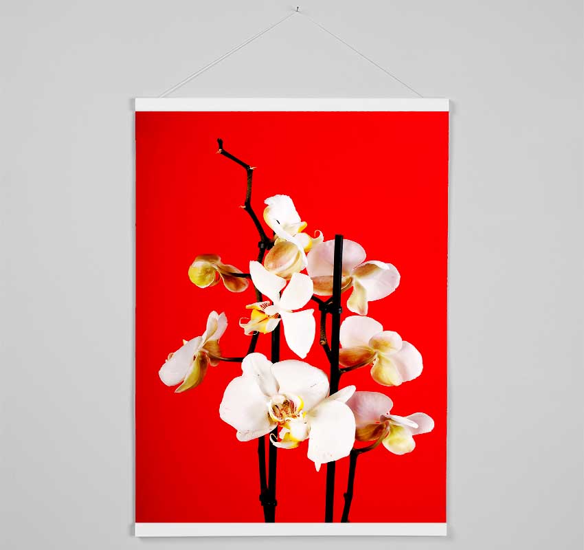 White Orchard Beauty On Red Hanging Poster - Wallart-Direct UK