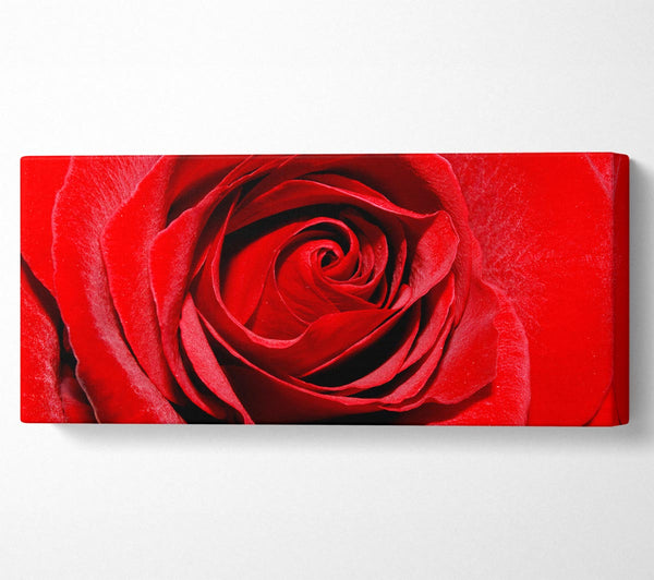 Red Rose Centre