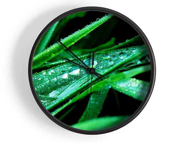 Morning Dew On Grass Clock - Wallart-Direct UK