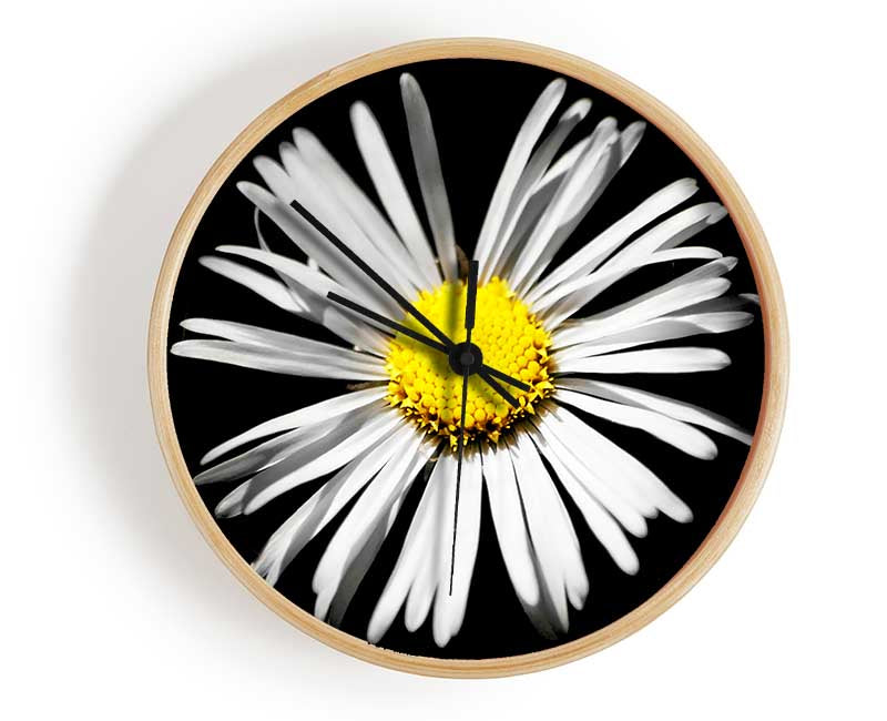 White Daisy Sunlight Clock - Wallart-Direct UK