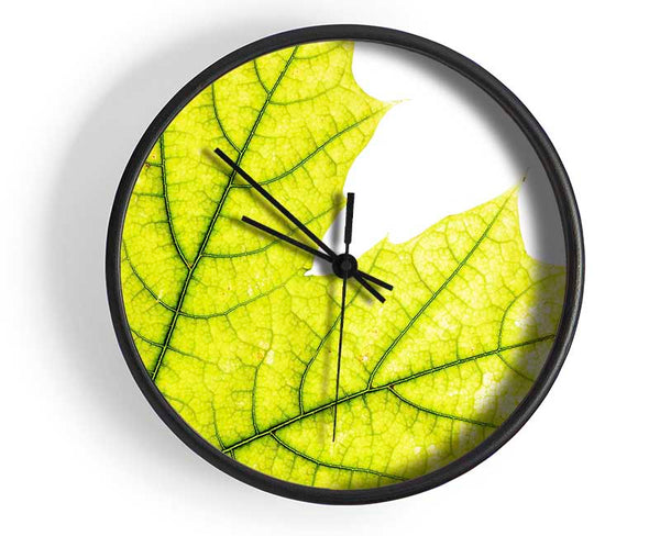 Magnificent Leaf Clock - Wallart-Direct UK