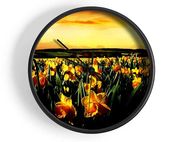 Field Of Golden Daffodils Clock - Wallart-Direct UK