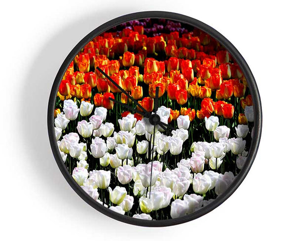 Mixed Tulip Fields Clock - Wallart-Direct UK