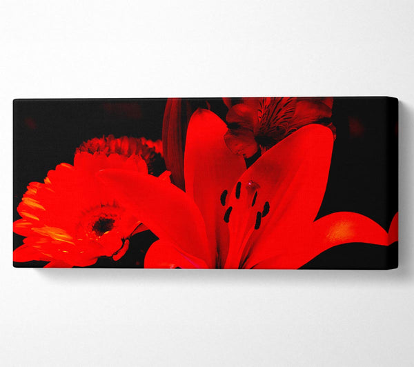 Infra Red Bloom