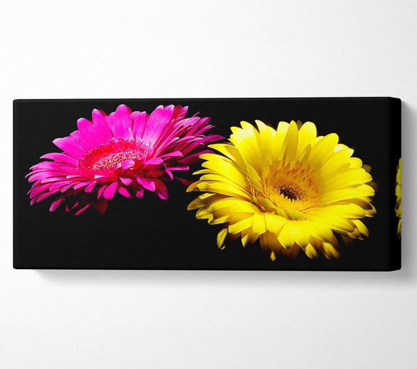 Pink And Yellow Gerbera Delight