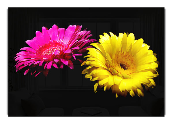 Rosa und gelbe Gerbera Freude