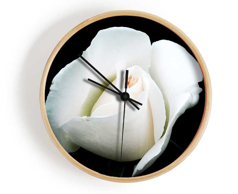 White Rose Blossom Clock - Wallart-Direct UK