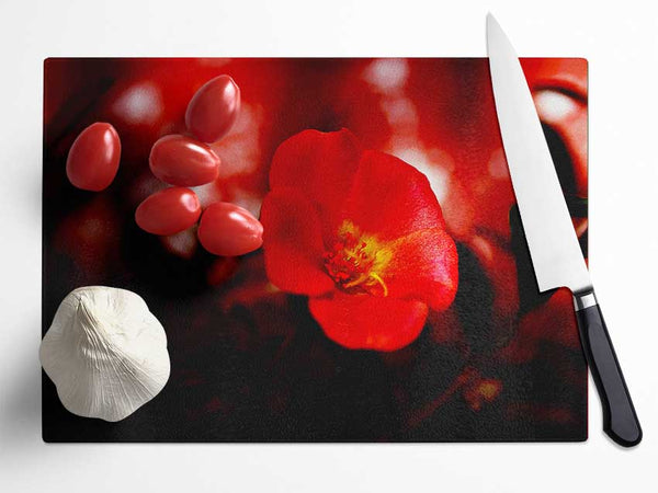 Cherry Red Glass Chopping Board