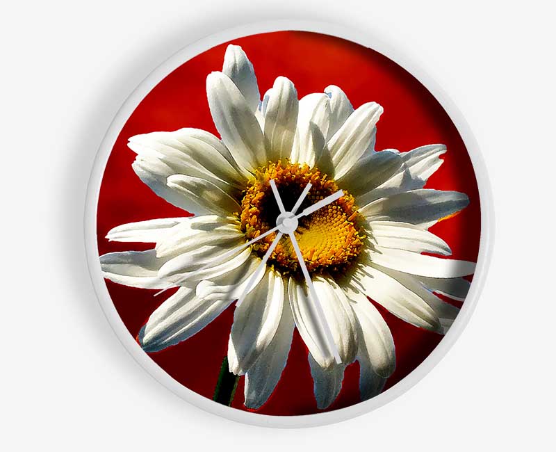 White Daisy On Red Clock - Wallart-Direct UK