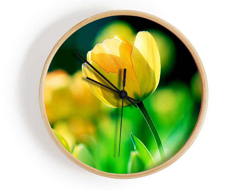 Yellow Tulip Sunlight Clock - Wallart-Direct UK