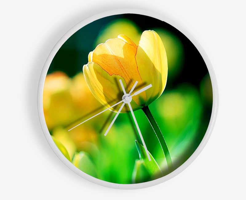 Yellow Tulip Sunlight Clock - Wallart-Direct UK