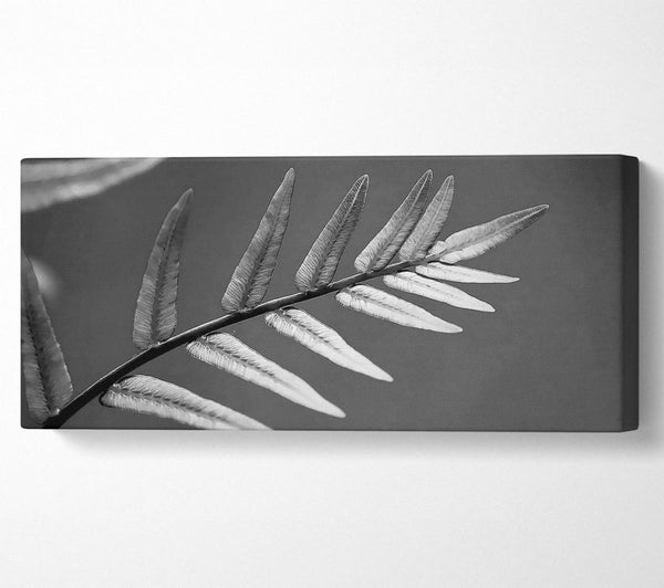 Grey Leaves