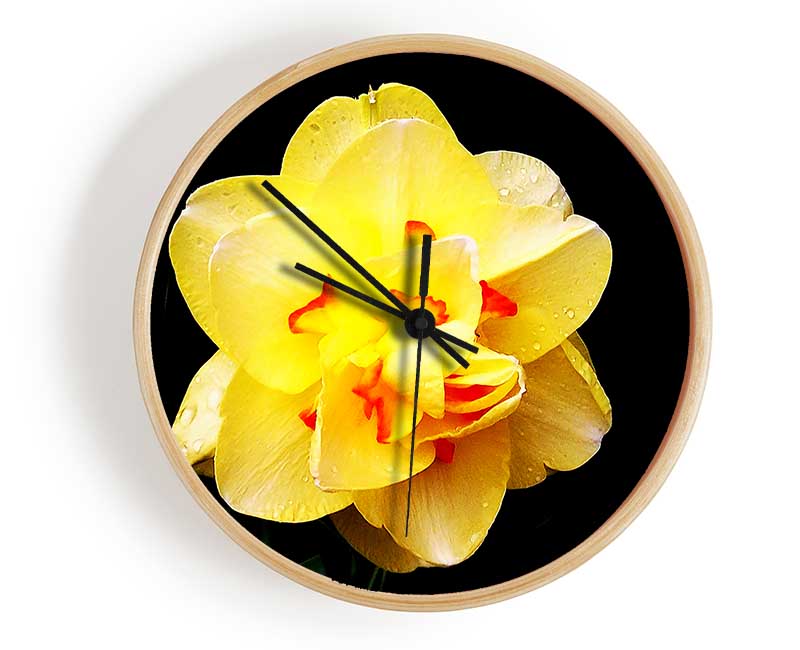 Yellow Star Flower Clock - Wallart-Direct UK