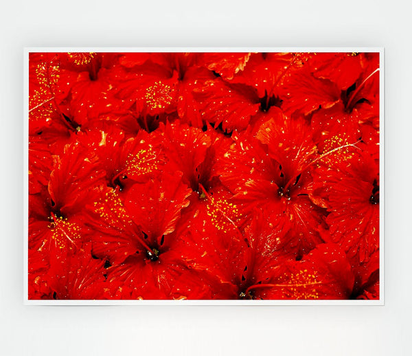 An Ocean Of Red Leaves Print Poster Wall Art