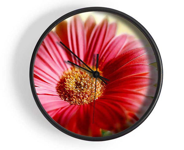 Heavenly Pink Petals Clock - Wallart-Direct UK