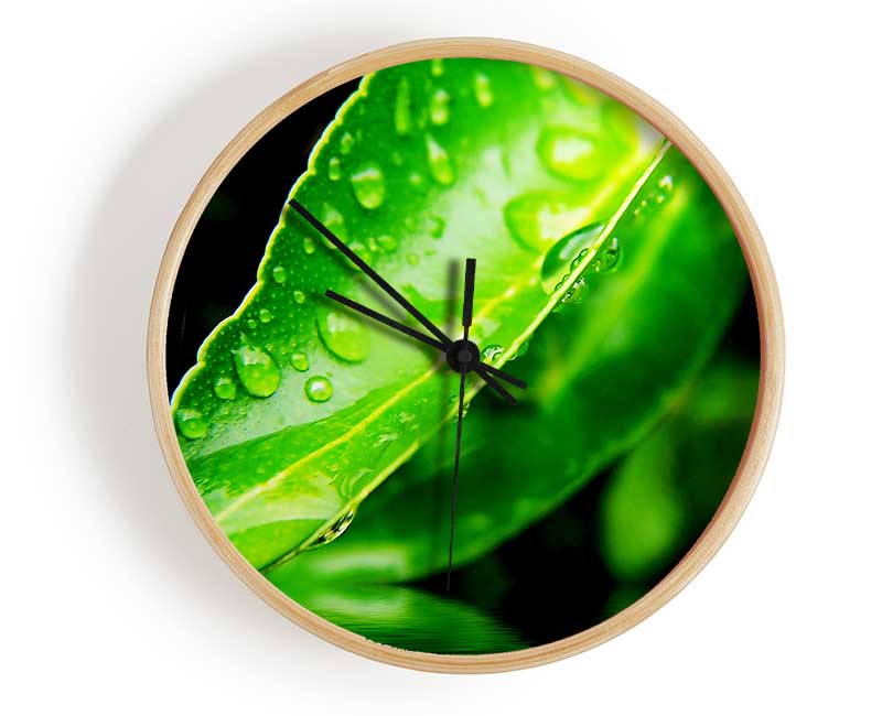 Green Leaf Reflection Clock - Wallart-Direct UK