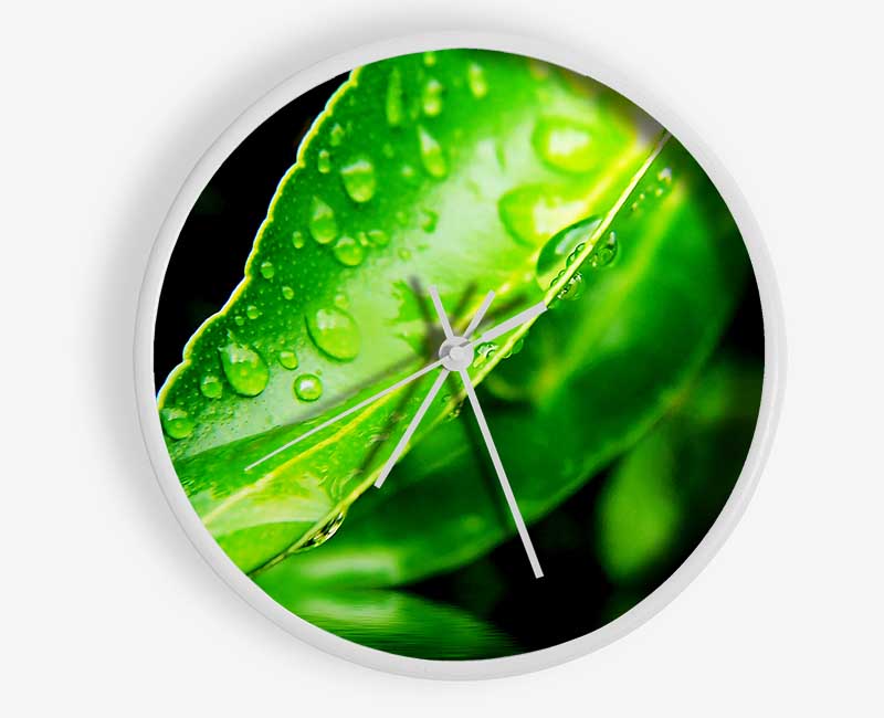 Green Leaf Reflection Clock - Wallart-Direct UK