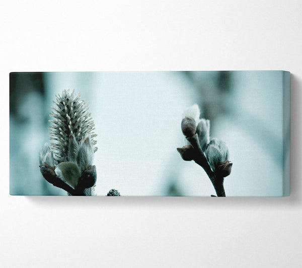 Winter Snow Flowers