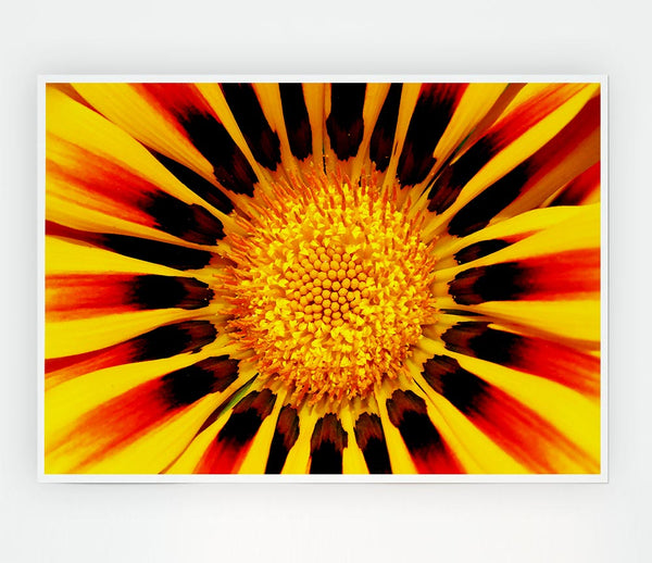 The Centre Of The Sun Print Poster Wall Art