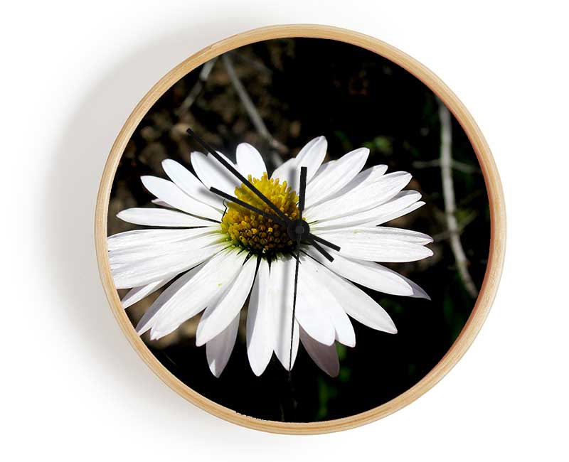White Single Daisy Head Clock - Wallart-Direct UK