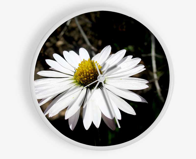 White Single Daisy Head Clock - Wallart-Direct UK