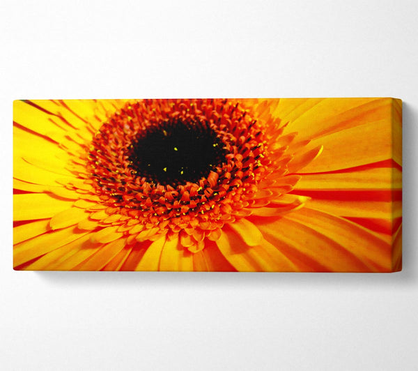 Golden Gerbera Centre