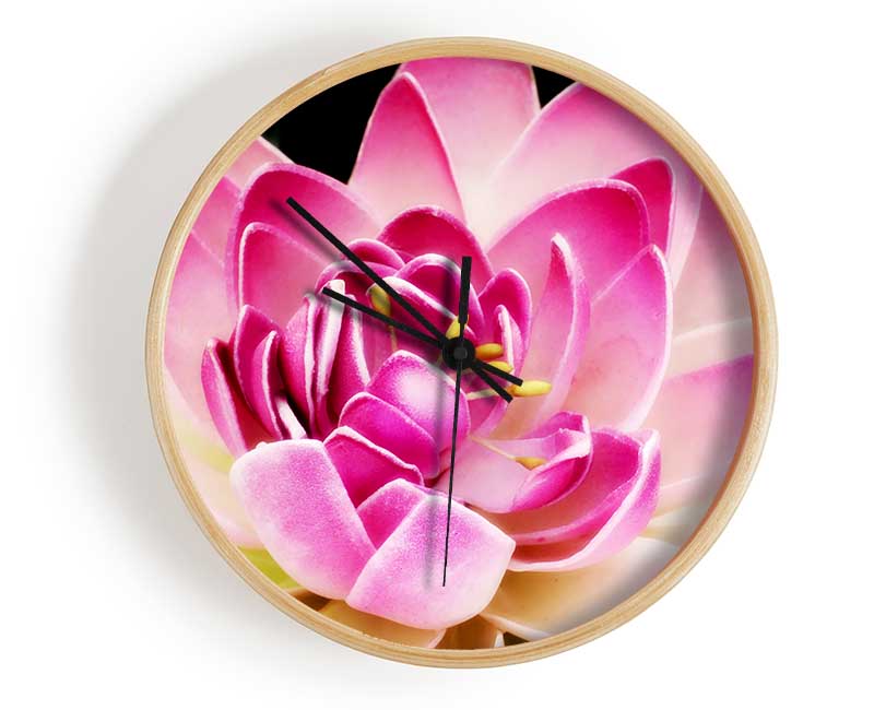 Water Lily Petals Clock - Wallart-Direct UK