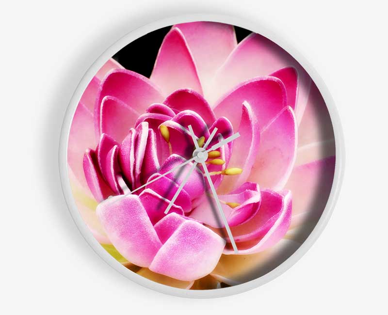 Water Lily Petals Clock - Wallart-Direct UK