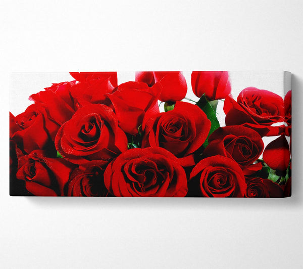 Strauß roter Rosen
