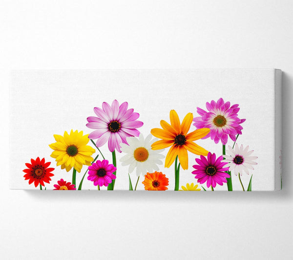 Garden Flower Party