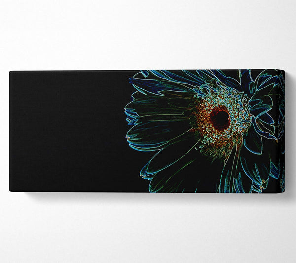 Night Flower