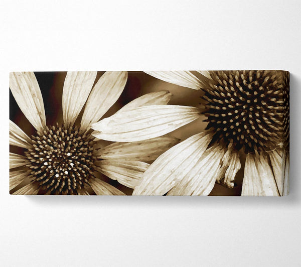 Sonnenblumen-Duo
