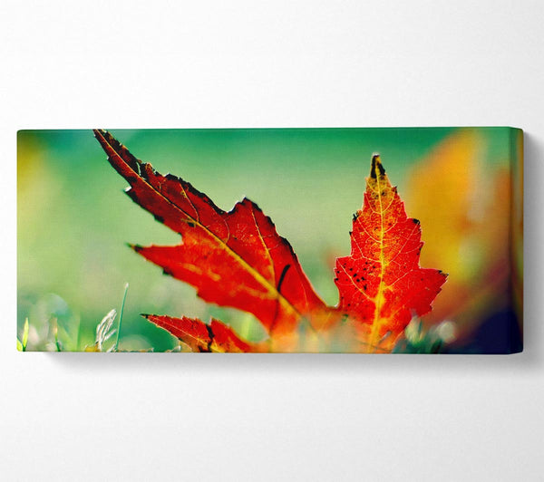 Herbstblatt