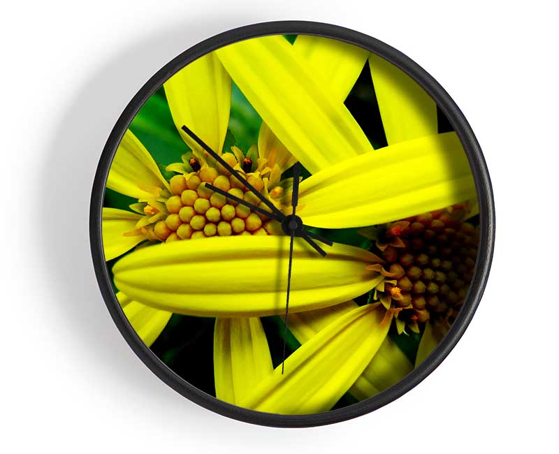 Yellow Star Flowers Clock - Wallart-Direct UK