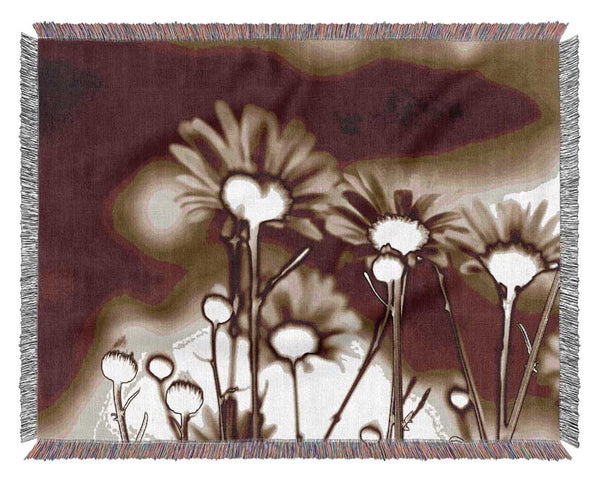 X-Ray Daisys Brown Woven Blanket