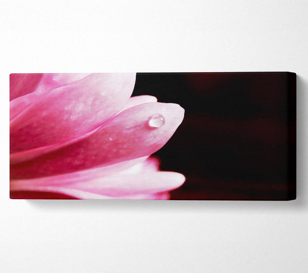 Pink Petal Dewdrop