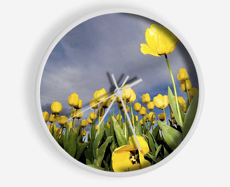 Yellow Tulip Field Storm Clock - Wallart-Direct UK