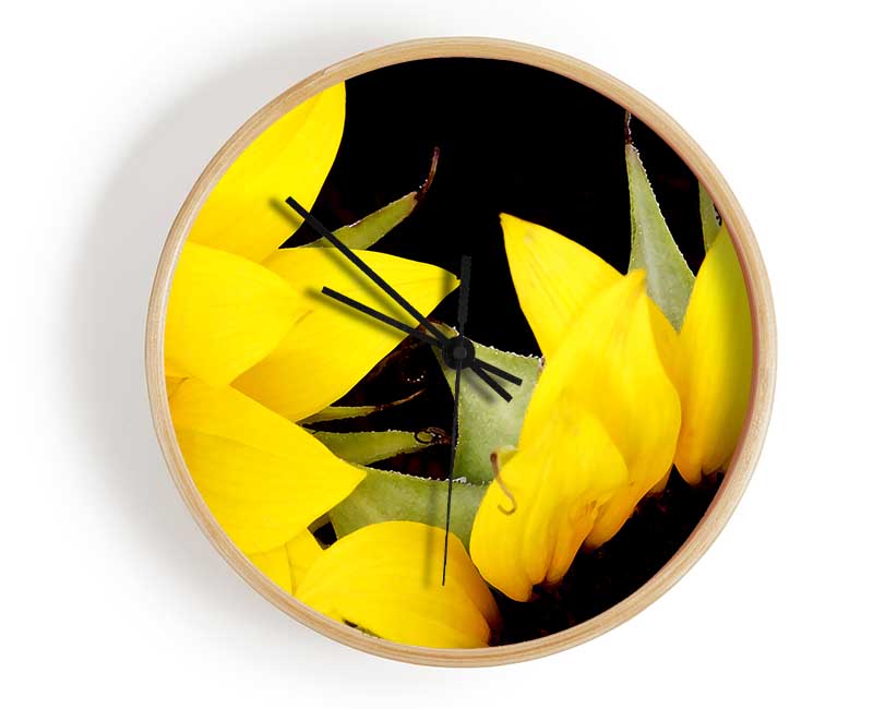 Yellow Sunflower Twins Close-Up Clock - Wallart-Direct UK