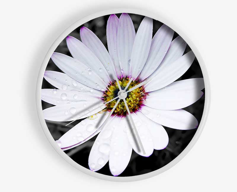 White Daisy On B n W Clock - Wallart-Direct UK