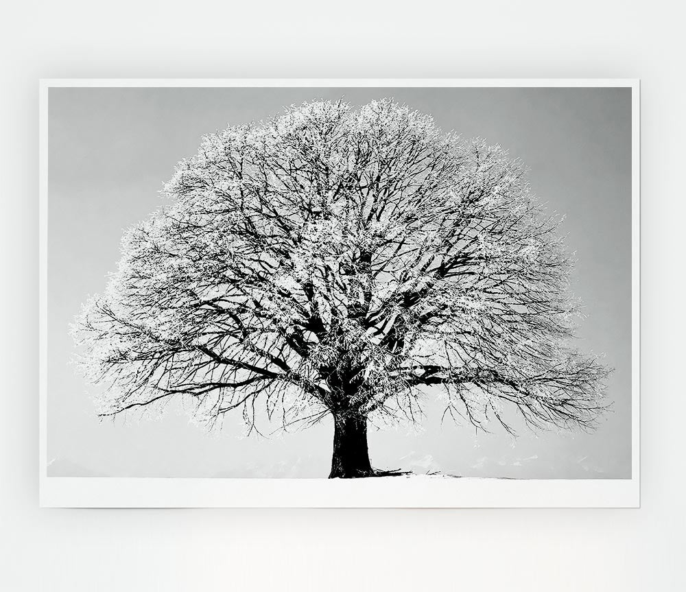Winter Tree B N W Print Poster Wall Art