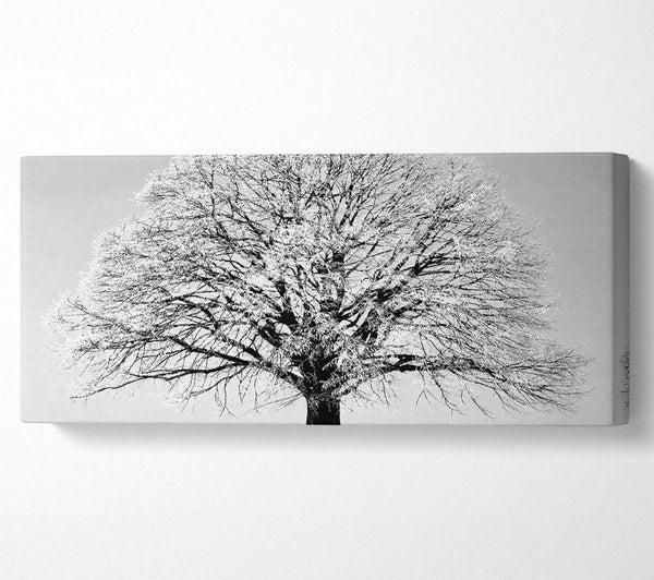 Winterbaum B n W